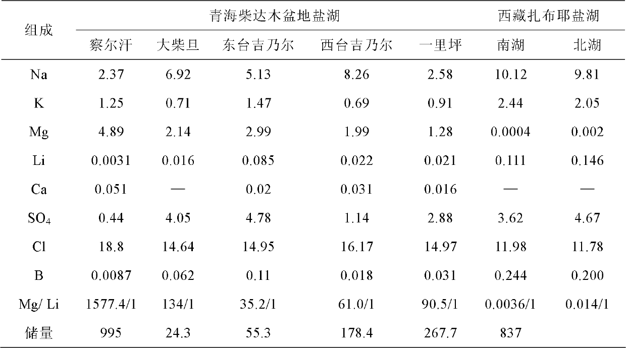 Process for extracting lithium from salt lake water subjected to calcium and magnesium preseparation