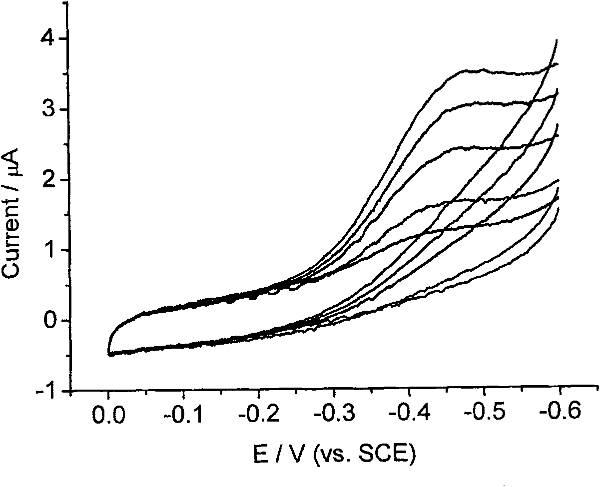 Process for the detecting of hydrogen peroxide