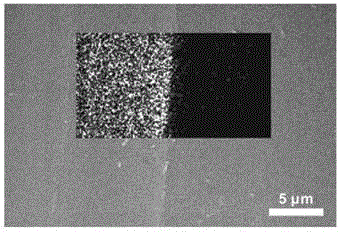 Bipolar membrane for fuel cell and preparation method of bipolar membrane