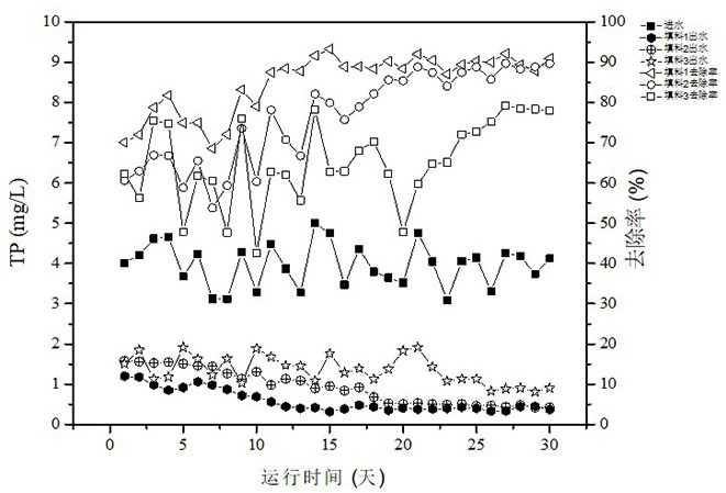 Water treatment denitrification filler and preparation method thereof