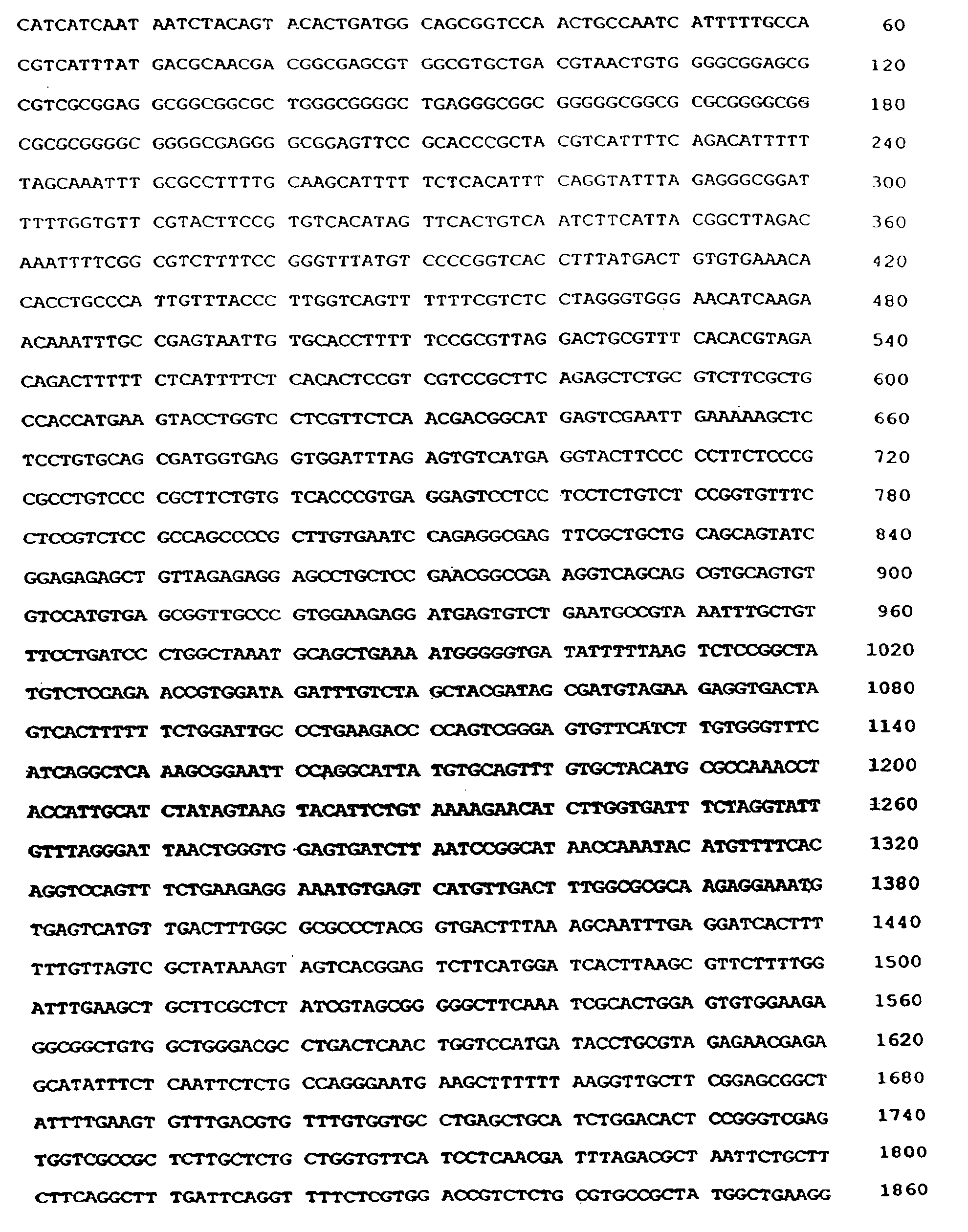 Modified bovine adenovirus having altered tropism