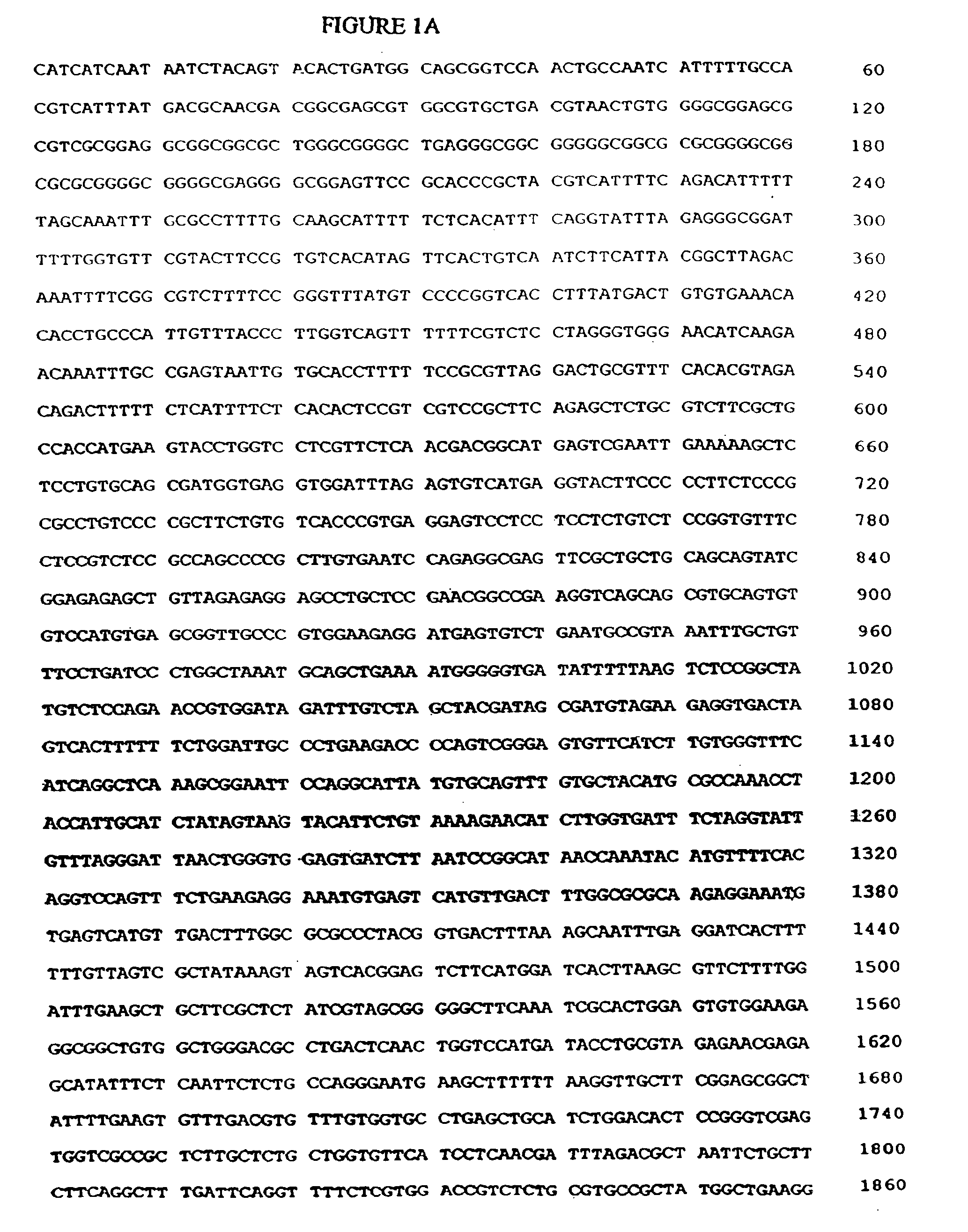 Modified bovine adenovirus having altered tropism