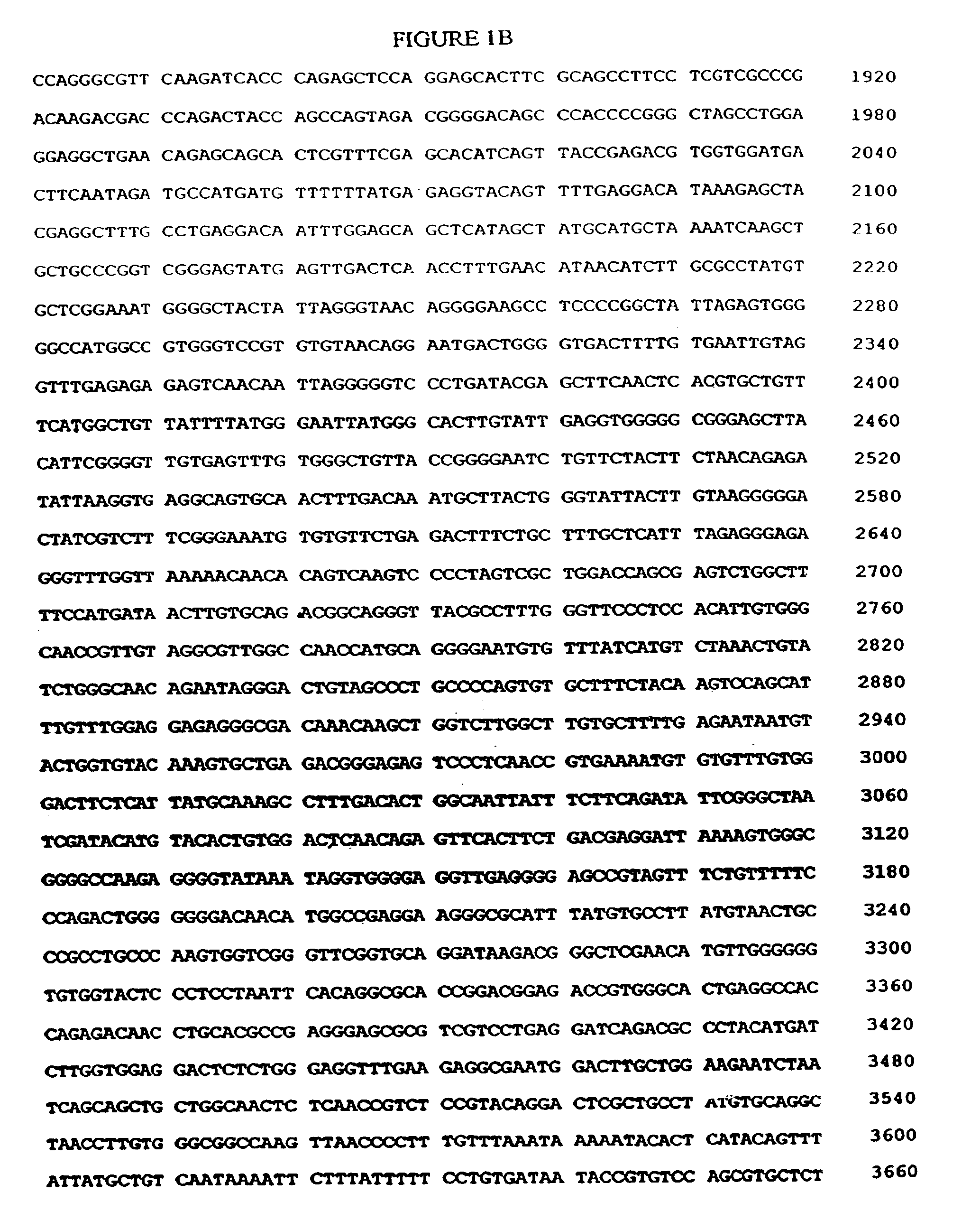 Modified bovine adenovirus having altered tropism