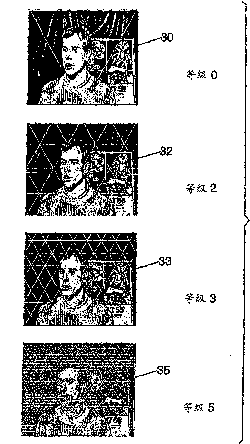 Method for estimating motion using deformable meshes