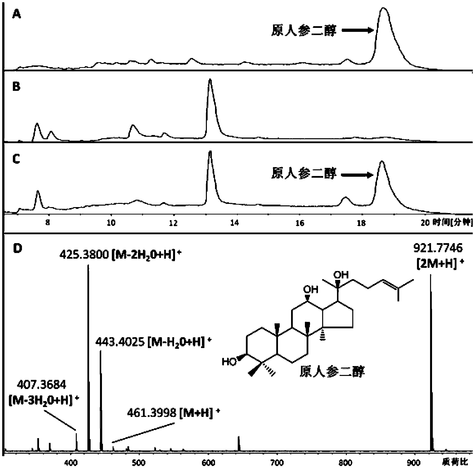 Recombinant microorganism for preparing dharma diene and protopanoxadiol and construction method thereof