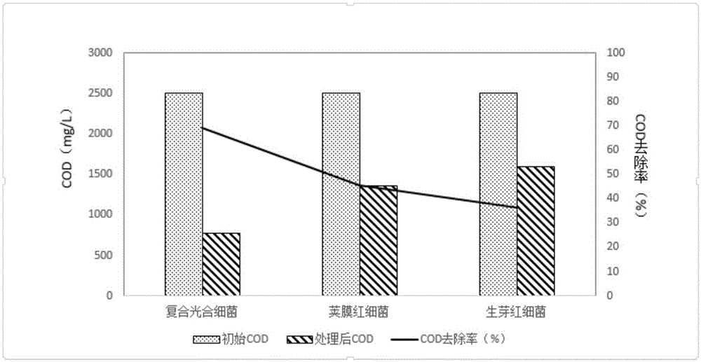 Method of treating piggery methane fluid by utilizing composite photosynthetic bacteria