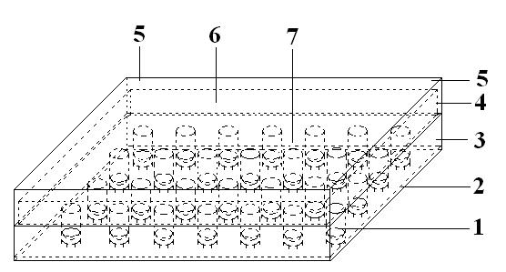 Box type insect incubator