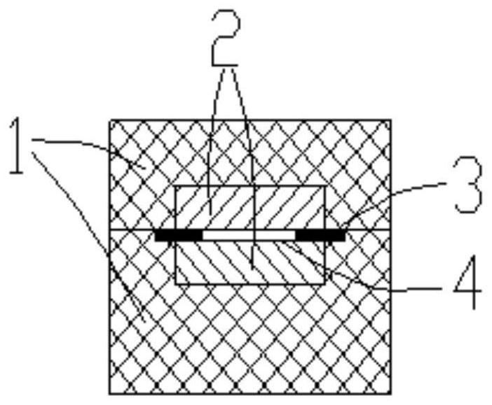 Electroporation device and system