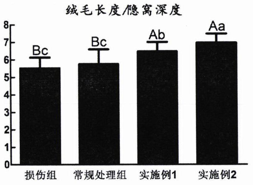 Waterline purifying and conditioning method for repairing intestinal villus of laying hen