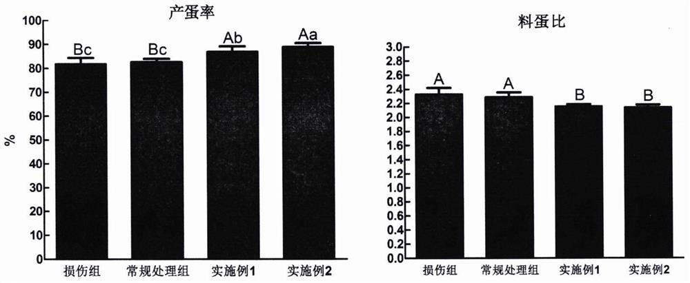 Waterline purifying and conditioning method for repairing intestinal villus of laying hen