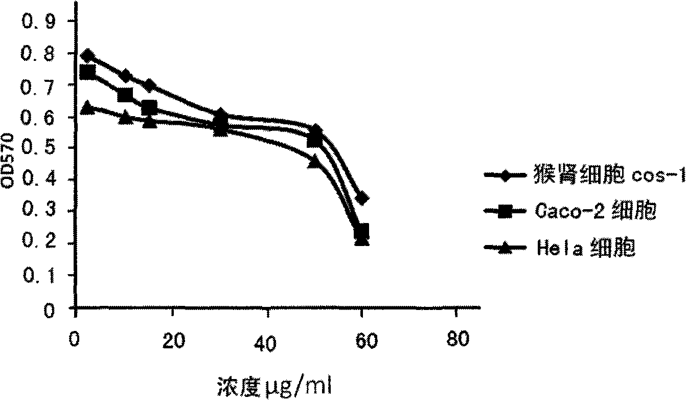 Tumor cell actively targeted drug delivery system, preparation method and application thereof