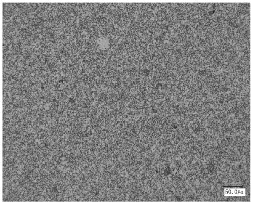 An anti-corrosion molybdenum alloy electrode and its manufacturing method