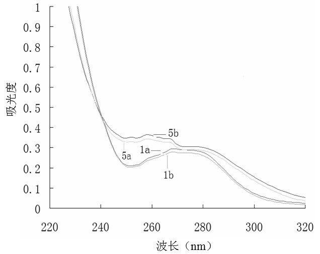 Method for identifying Chinese spirits with different flavors by ultraviolet spectroscopy