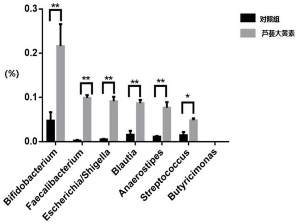 Intestinal flora preparation capable of directionally proliferating and used for transplanting intestinal flora as well as preparation method and application of intestinal flora preparation