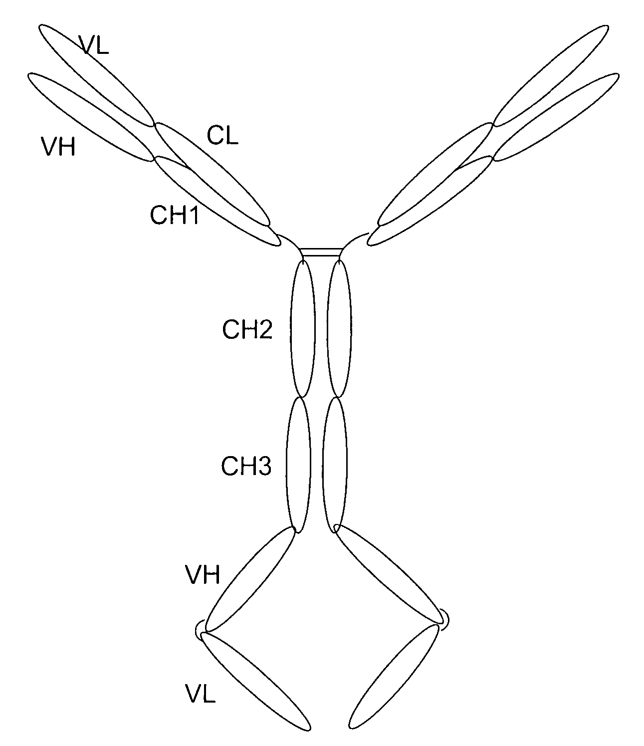 Preparation and application of anti-tumor bifunctional fusion proteins