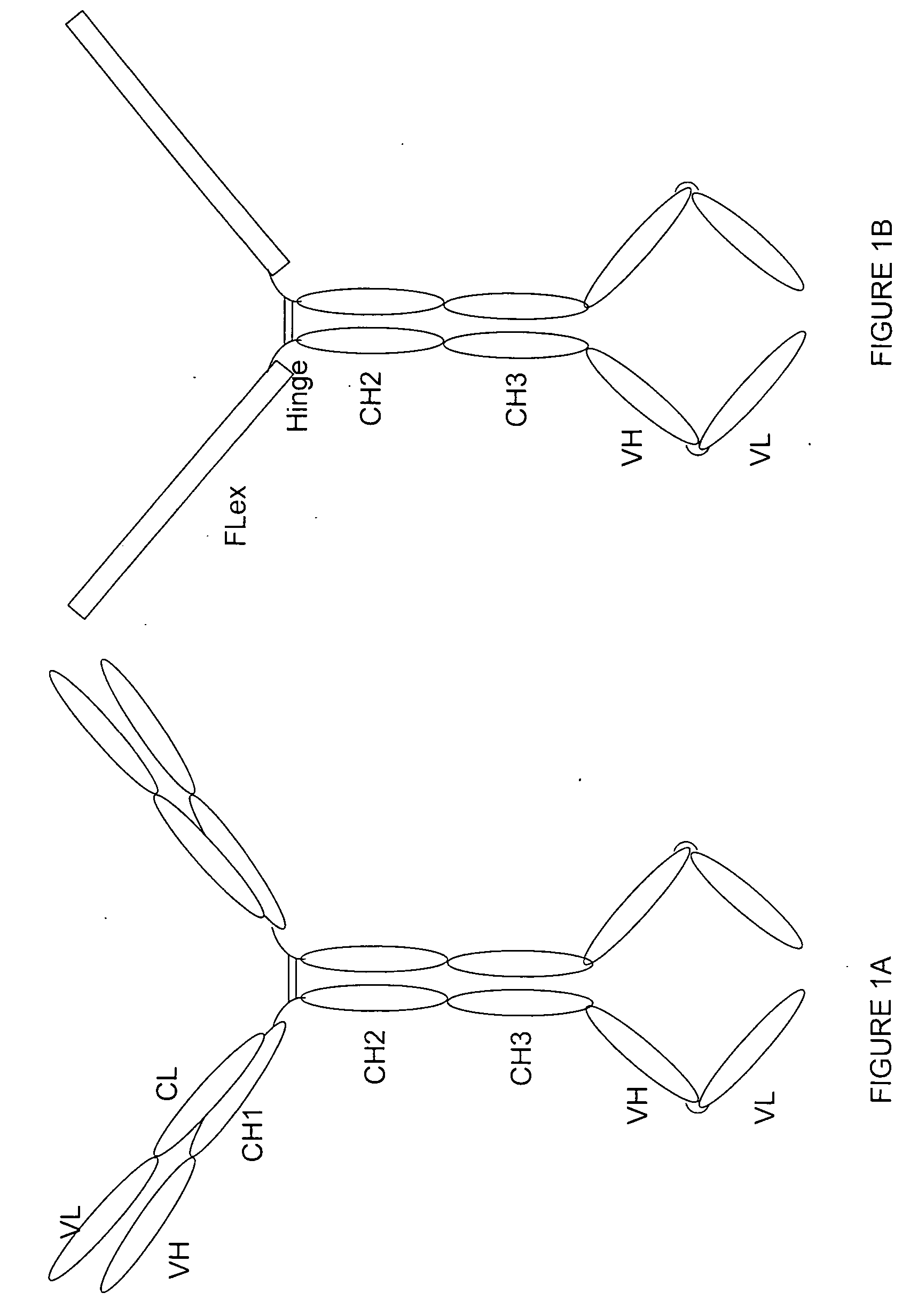 Preparation and application of anti-tumor bifunctional fusion proteins