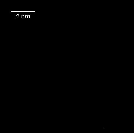 Catalyst for VIII group single atomic dispersion and preparation method thereof