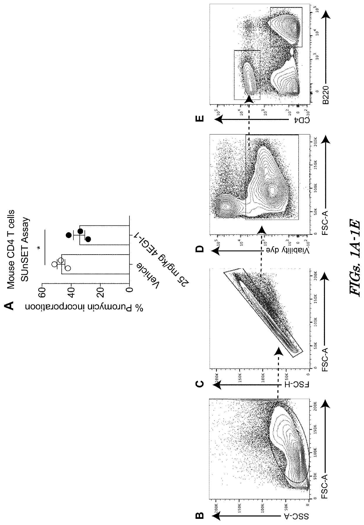 Selective inhibition of t follicular helper cells for treatment of autoimmune disorders