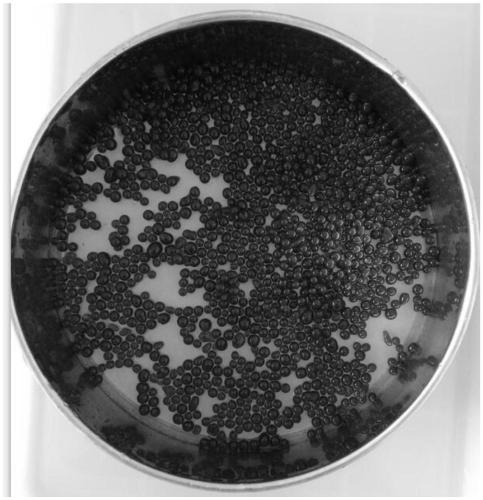 Microbial immobilization agent for increasing available nitrogen of tea garden soil and preparation method thereof