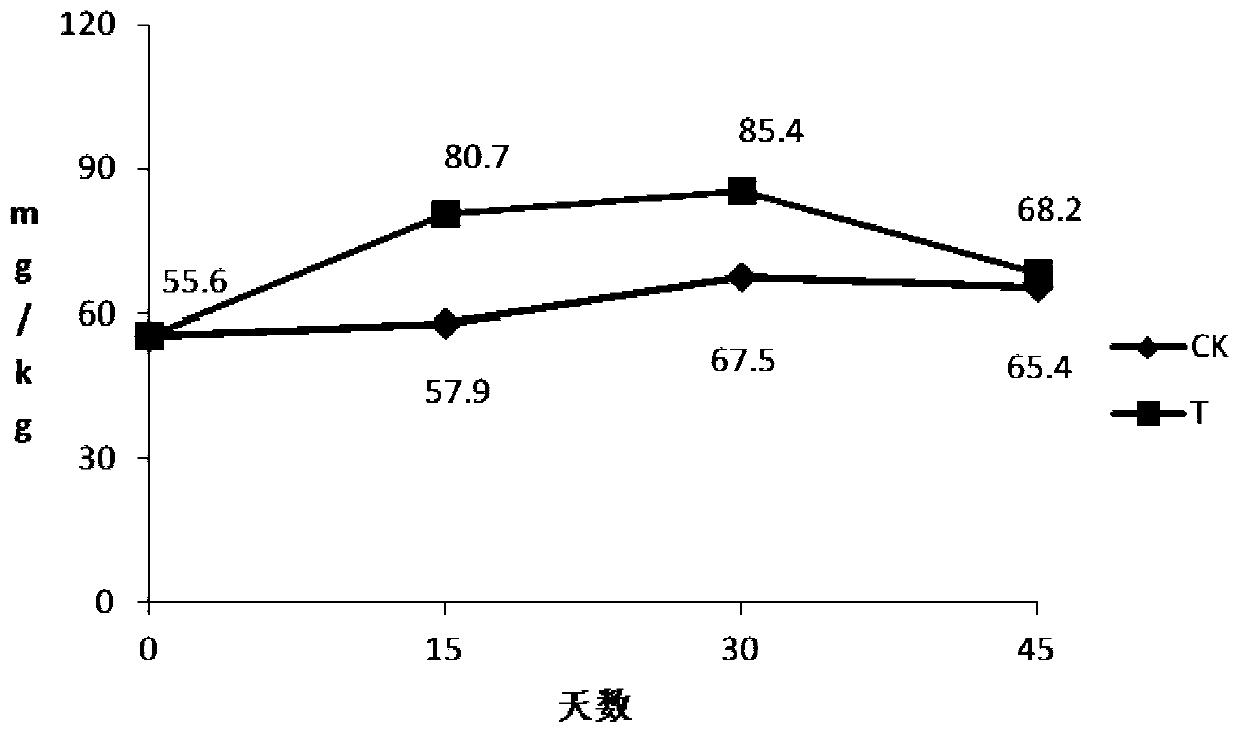 Microbial immobilization agent for increasing available nitrogen of tea garden soil and preparation method thereof