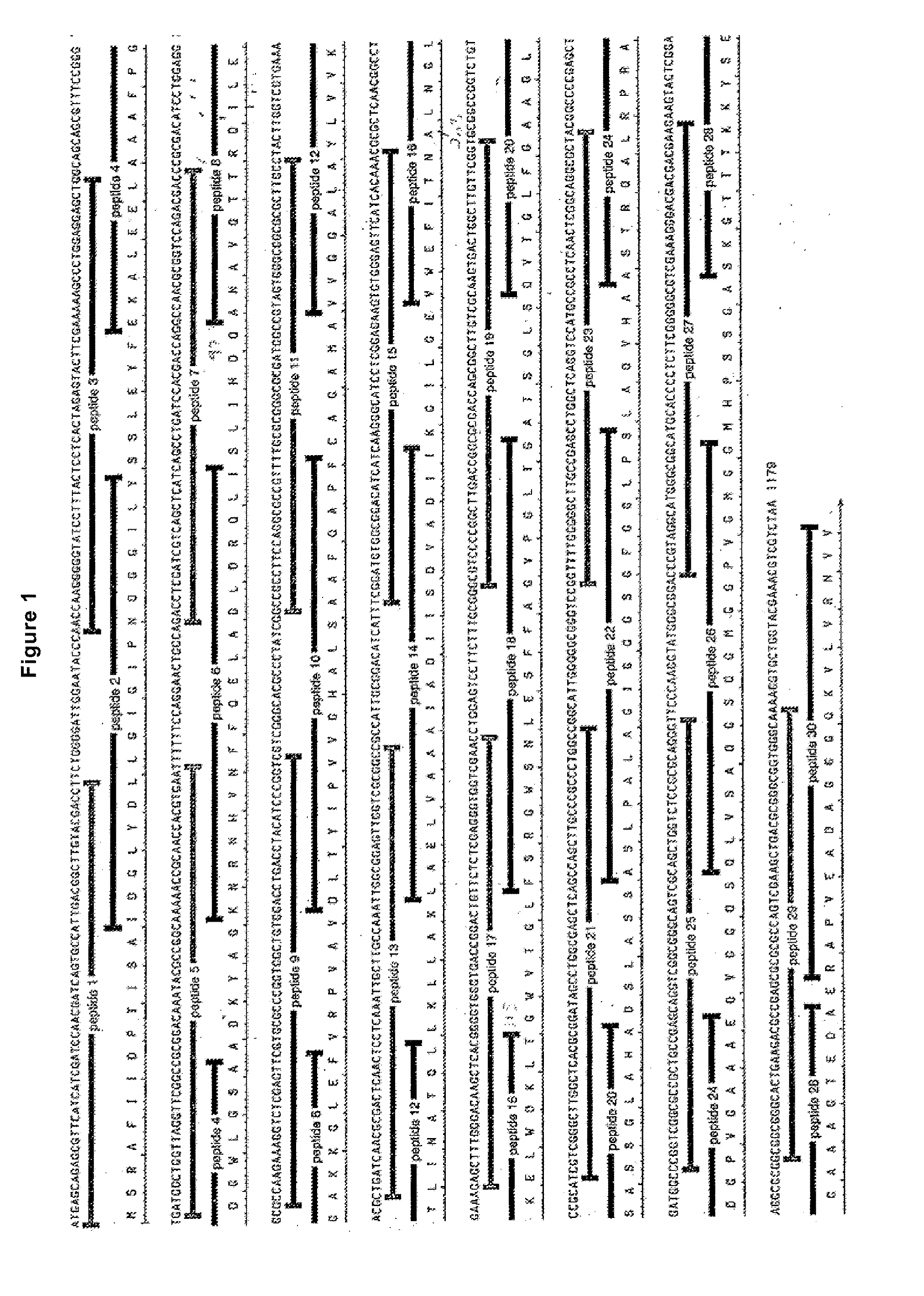 Novel compositions and methods