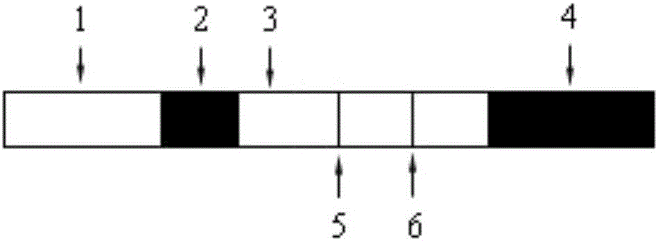 Rapid detecting method and corresponding test strip for acetamiprid residues in tea