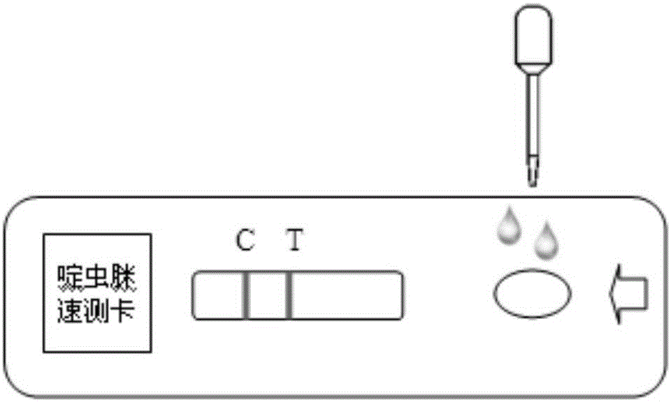 Rapid detecting method and corresponding test strip for acetamiprid residues in tea