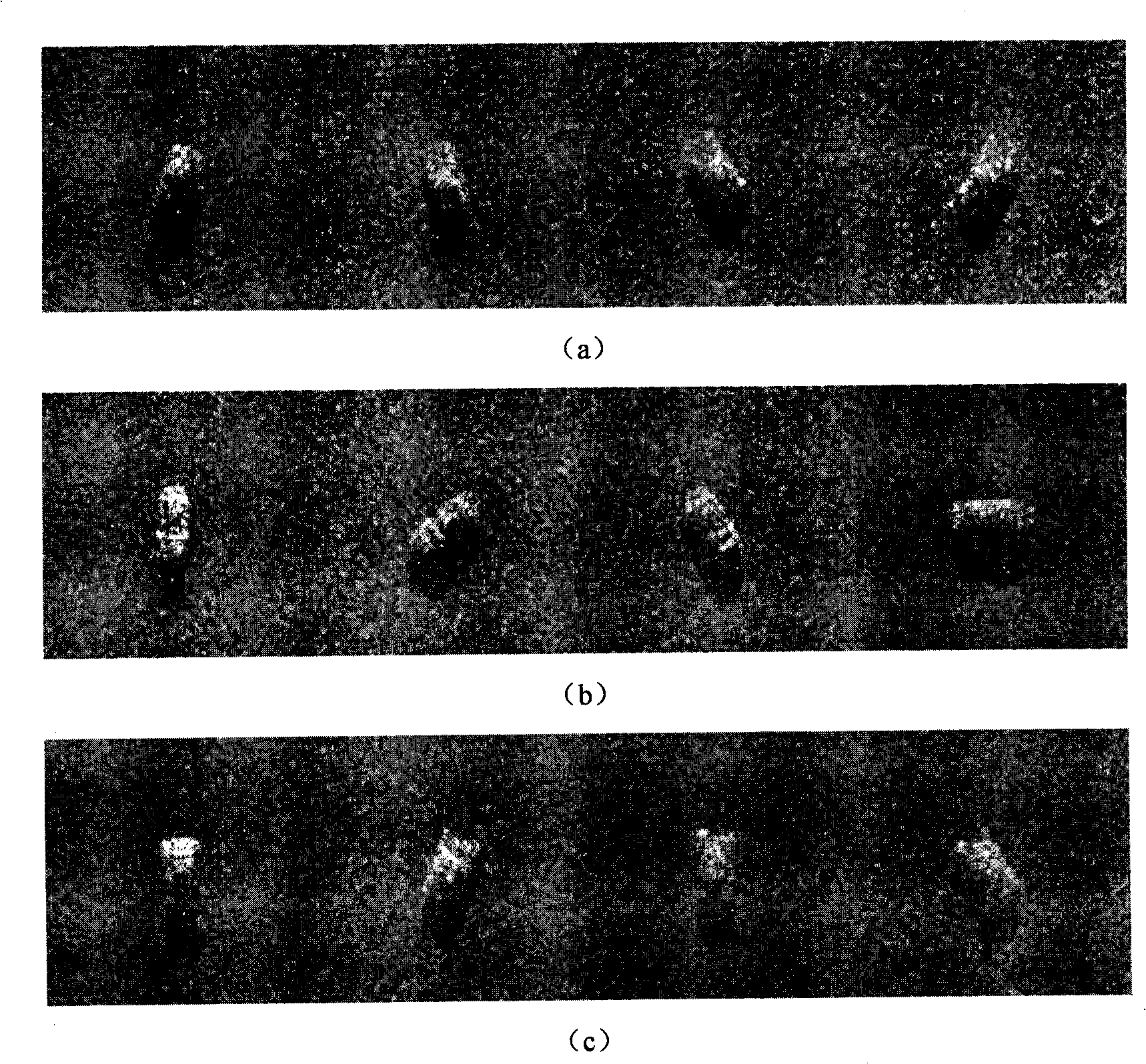 SAR target recognition method based on sparse least squares support vector machine