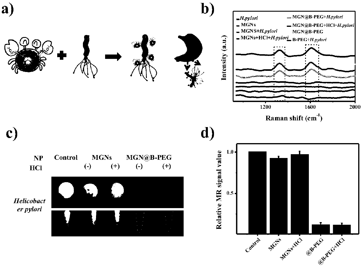 Preparation method of boric acid PEG modified magnetic graphene nano composite material