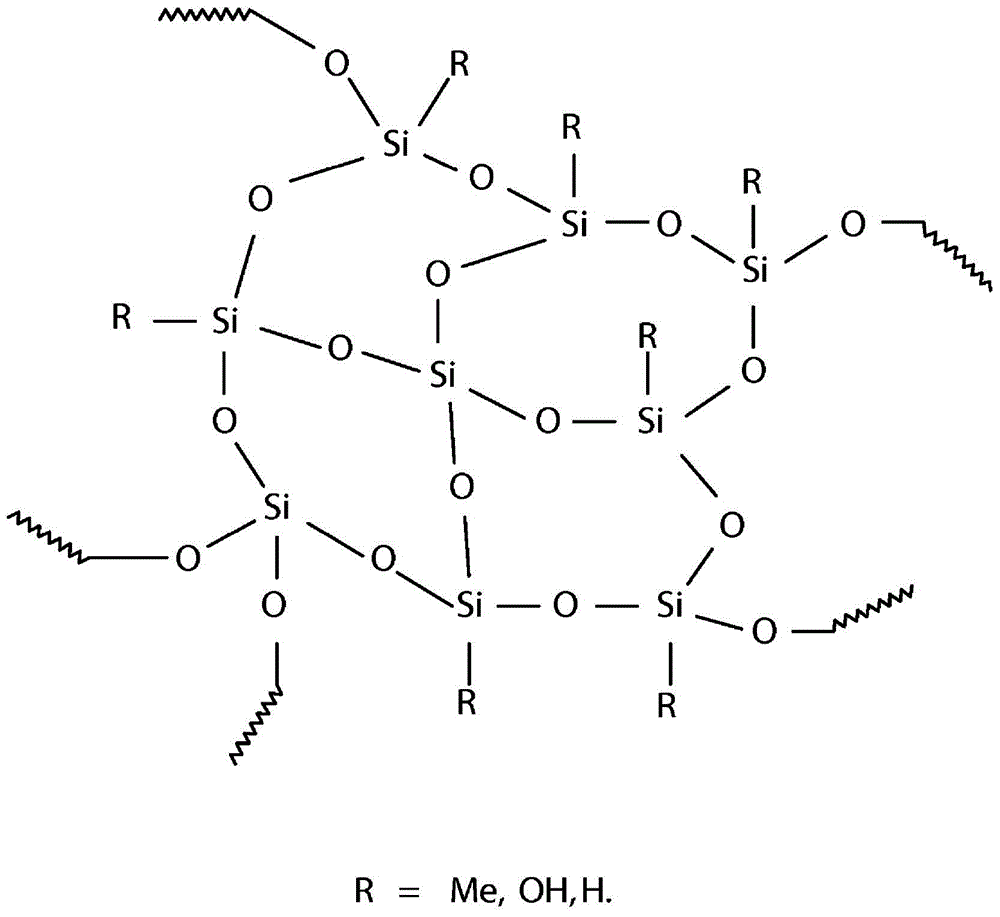 Oral care compositions containing polyorganosilsesquioxane particles