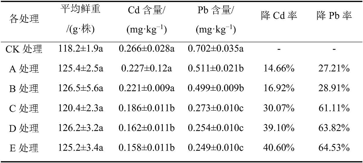 Biochar-based soil conditioner and application thereof