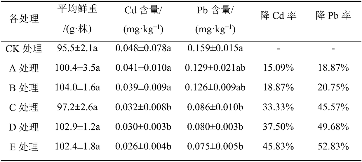 Biochar-based soil conditioner and application thereof