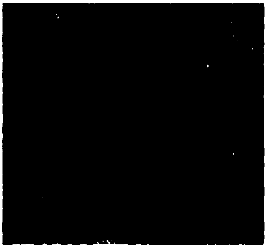 A preparation method of a platinum-based alloy catalyst