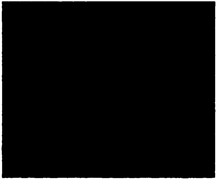 A preparation method of a platinum-based alloy catalyst