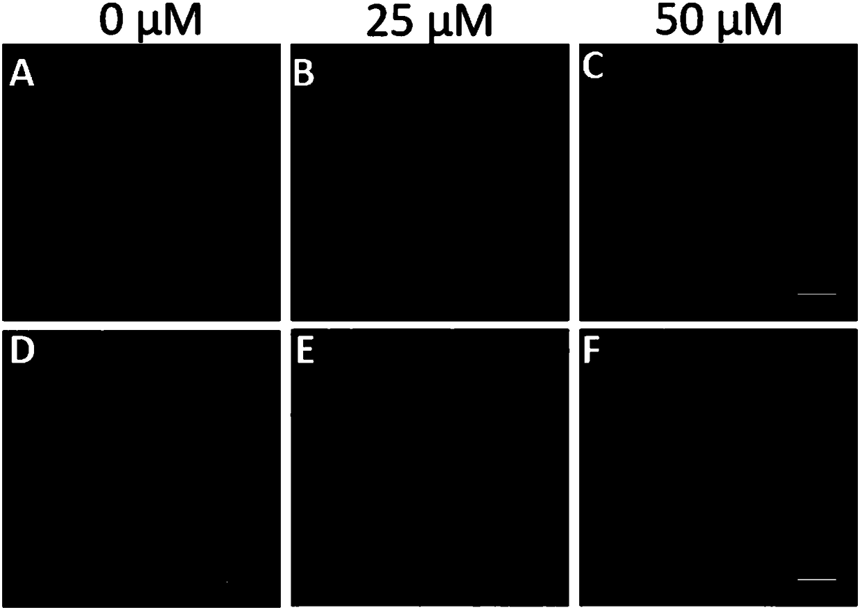 O-phenanthroline ruthenium complex photosensitive dyes, and preparation method and application thereof