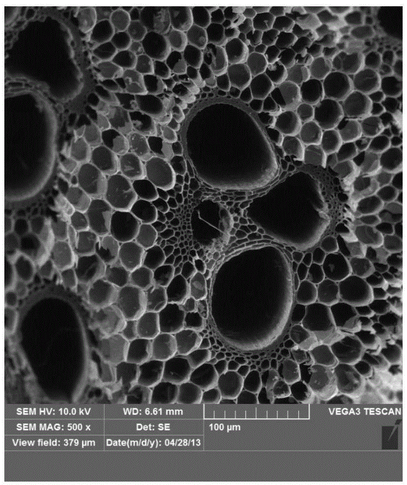 Carbon tubular oxygen reduction cathode microbial fuel cell and preparation method thereof