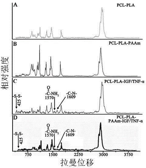 Preparation and application of PCL-PLA (polycaprolactone-polylactic acid) tissue engineering composite scaffold with liver cell anti-aging function