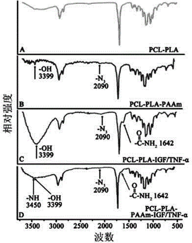 Preparation and application of PCL-PLA (polycaprolactone-polylactic acid) tissue engineering composite scaffold with liver cell anti-aging function