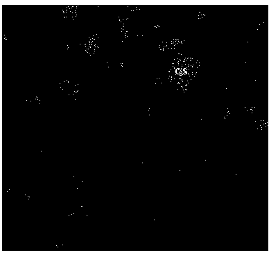 Method for improving quality of energy spectrum face distribution image of inorganic non-metal material sample