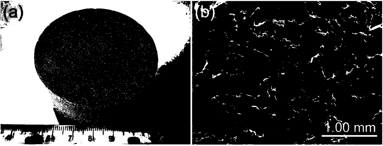 Preparation method of porous zinc support material for composite ZnO nanorod