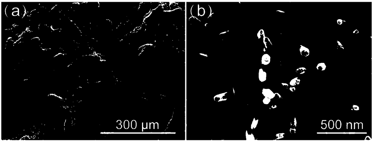 Preparation method of porous zinc support material for composite ZnO nanorod