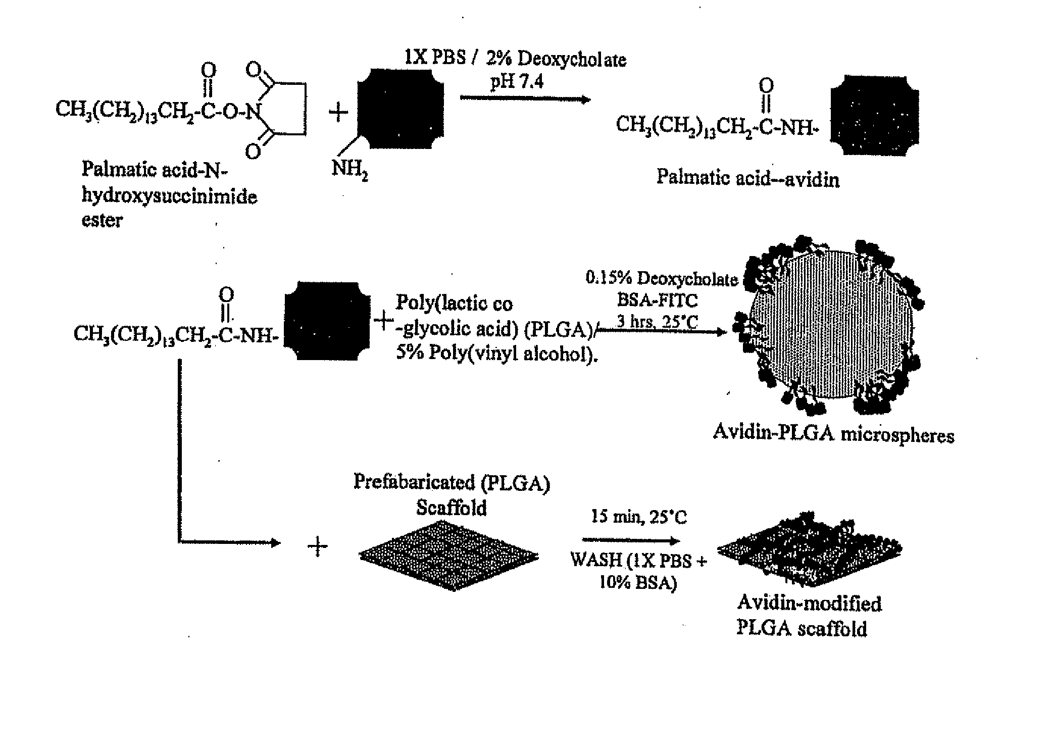 Methods of Treatment with Drug Loaded Polymeric Materials