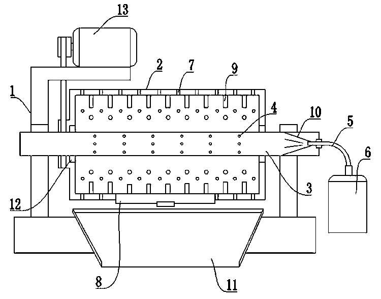 Efficient chuanminshen violaceum drier