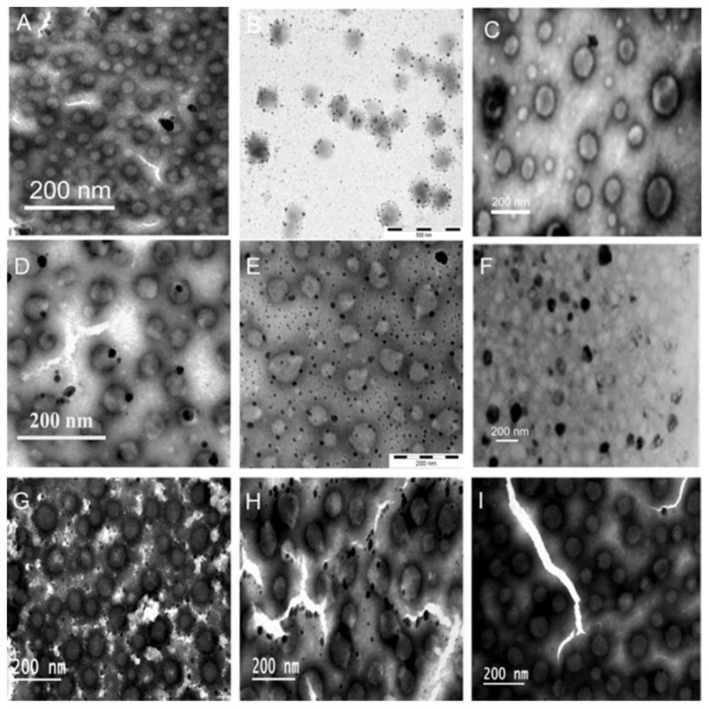 Polysaccharide core Nanocells as well as preparation method and application thereof