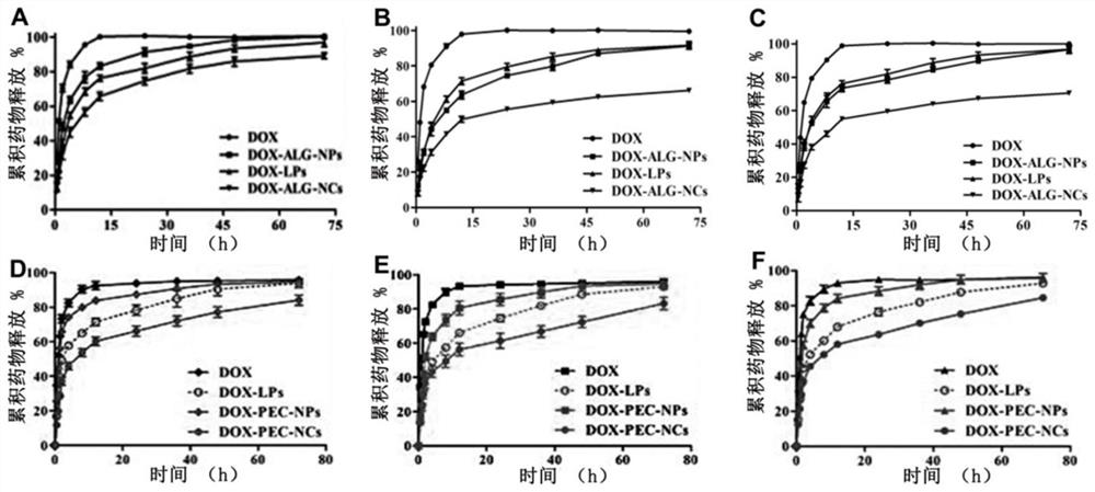 Polysaccharide core Nanocells as well as preparation method and application thereof