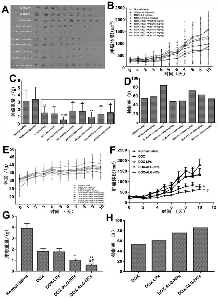 Polysaccharide core Nanocells as well as preparation method and application thereof