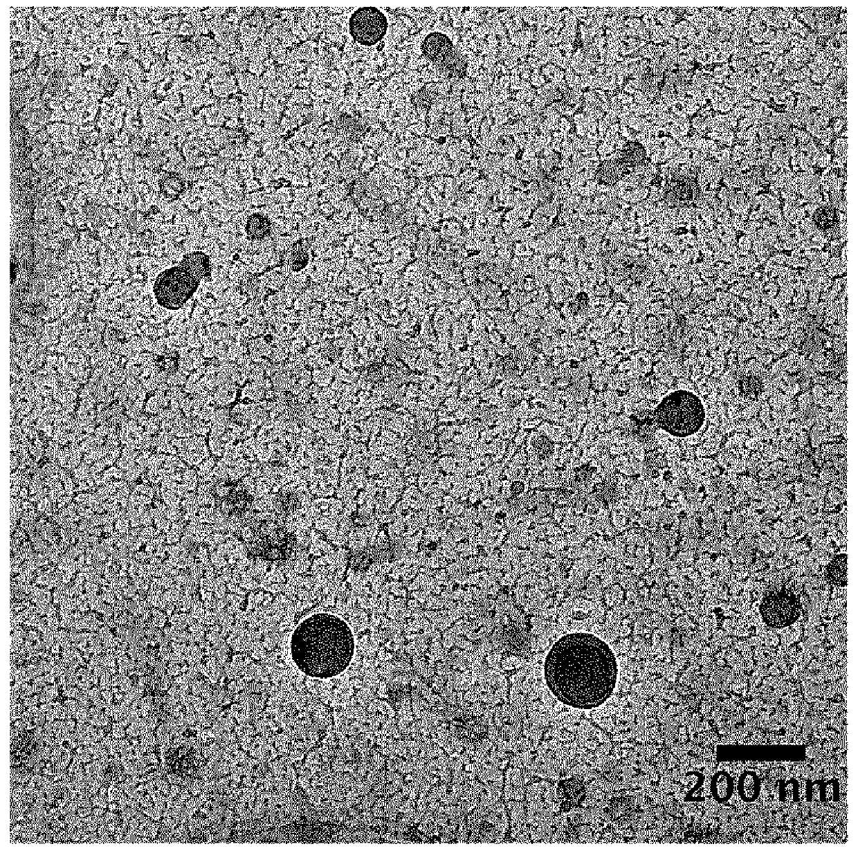 Anti-aging composition comprising lactic acid bacteria-derived extracellular vesicle