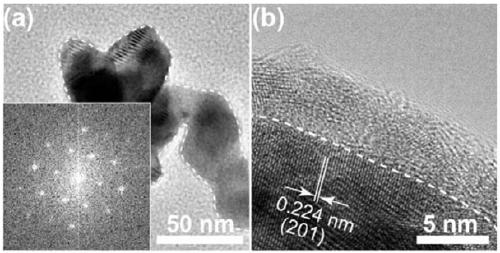 A high-performance non-precious metal oxygen evolution catalyst and its preparation method and application