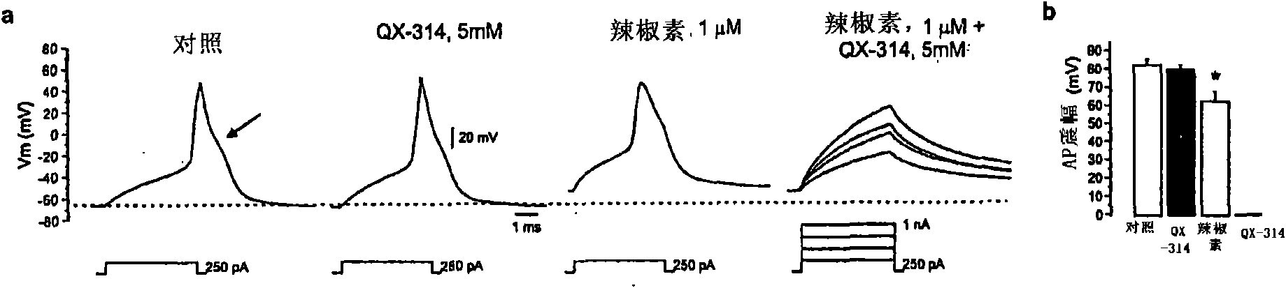 Methods, compositions, and kits for treating pain and pruritis