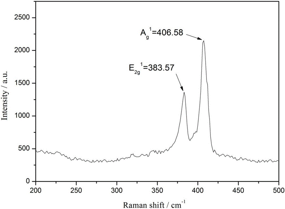 Laminated MoS2-Fe3O4 nano composite material and preparation method thereof